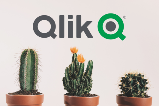 Qlik Sense Enterprise for Windows Cactus Ransomware