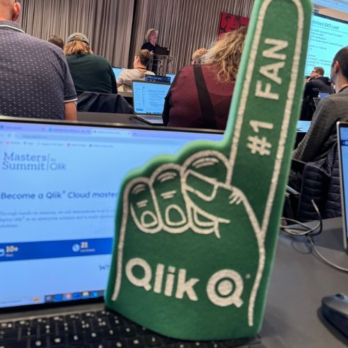 Bitmetric: No 1 Qlik fan!