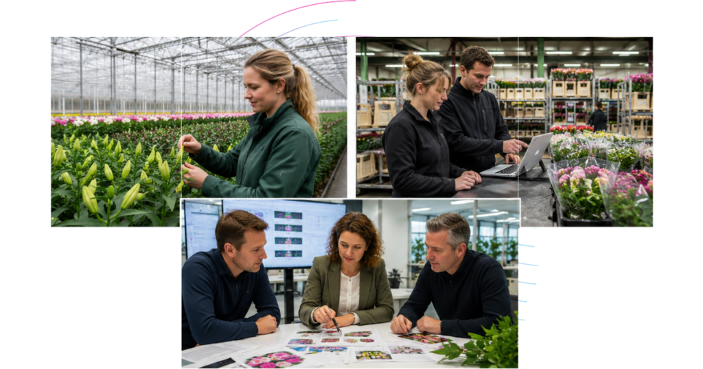 Data & Analytics voor Sierteelt en Bloemenhandel