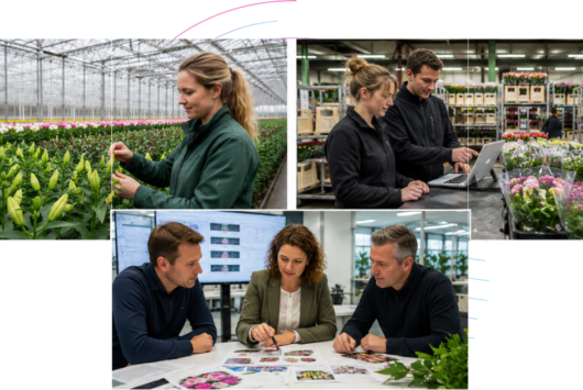 Data & Analytics voor Sierteelt en Bloemenhandel